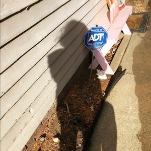 Meet your Posher, Bridget